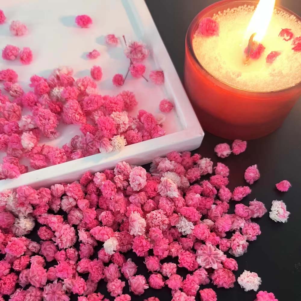 1Box Flower Mix for Crafts Can - đánh giá và giá Resin Art Earrings Design